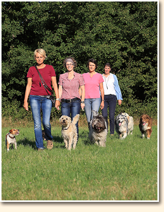 Hundegruppe