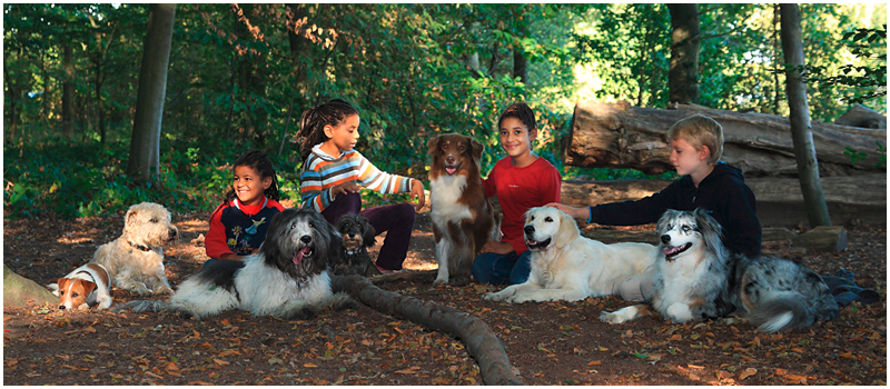 Hundeschule dogtime